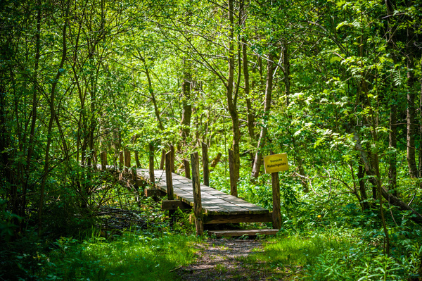 Natur im Hotzenwald